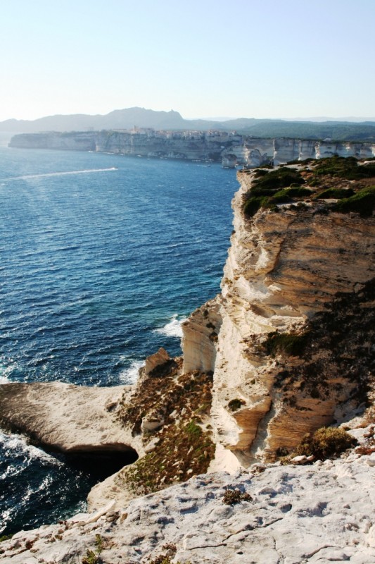 Bonifacio