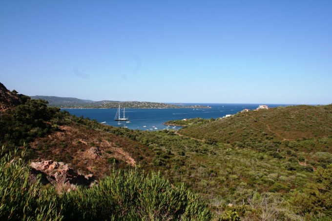 lionrock