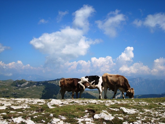Monte Baldo